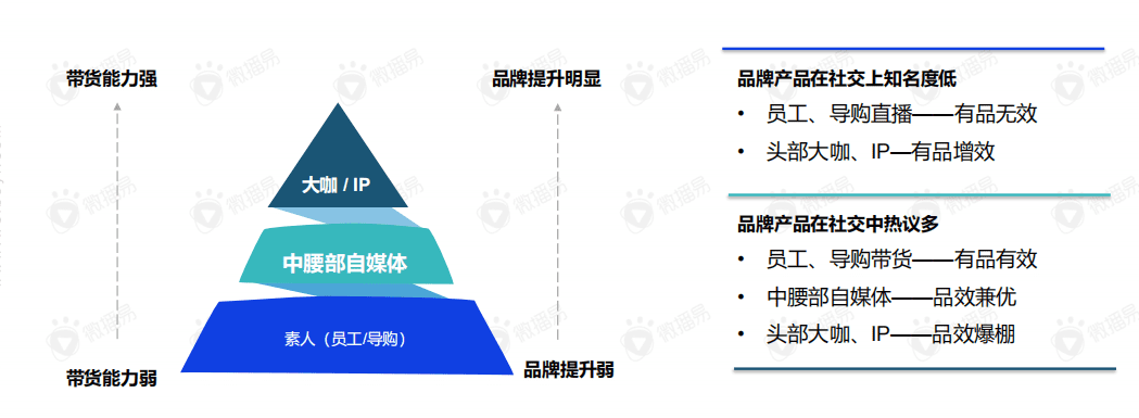 直播帶貨的黃金組合策略：這份新報告答的都是好問題