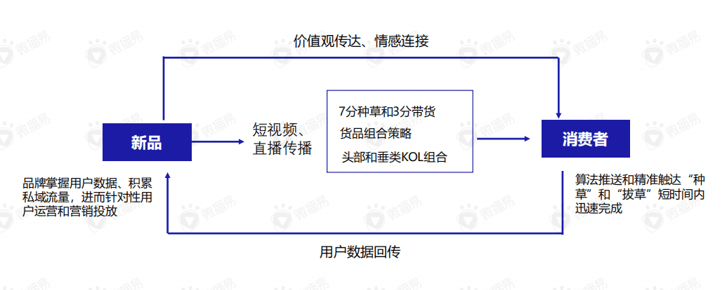 直播帶貨的黃金組合策略：這份新報告答的都是好問題