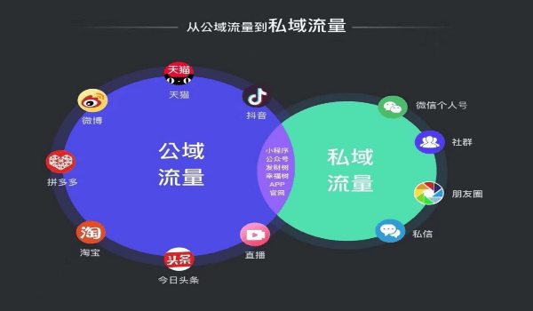 視頻號，引流，標簽