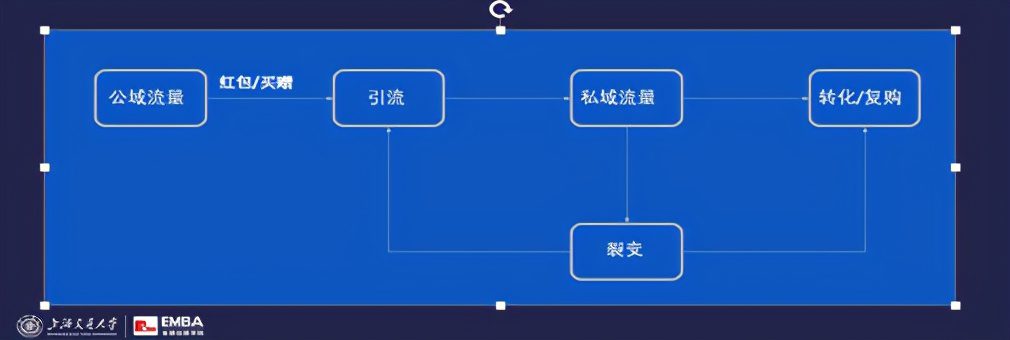 完美日記元氣森林鐘薛高，如何瘋狂崛起？