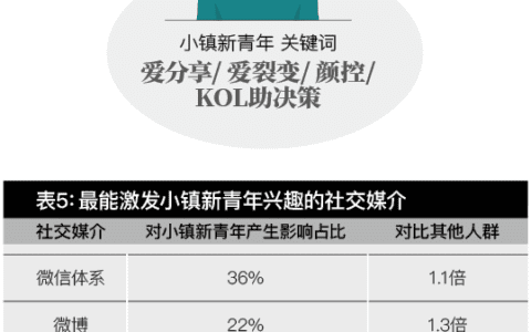 丁曉冰：社交零售消費(fèi)者行為畫像