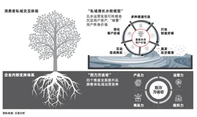 企業(yè)陷入“無(wú)效私域”的營(yíng)銷困境？要如何破解｜檸小柒柒