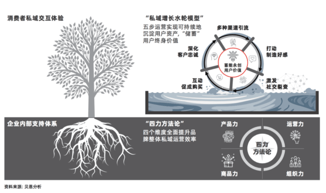 呂玥：無效私域，增長的隱形毒藥