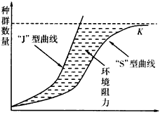 增長模型參考