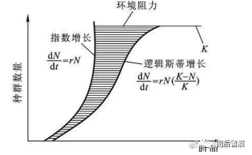 思維模式1：指數(shù)增長(zhǎng)