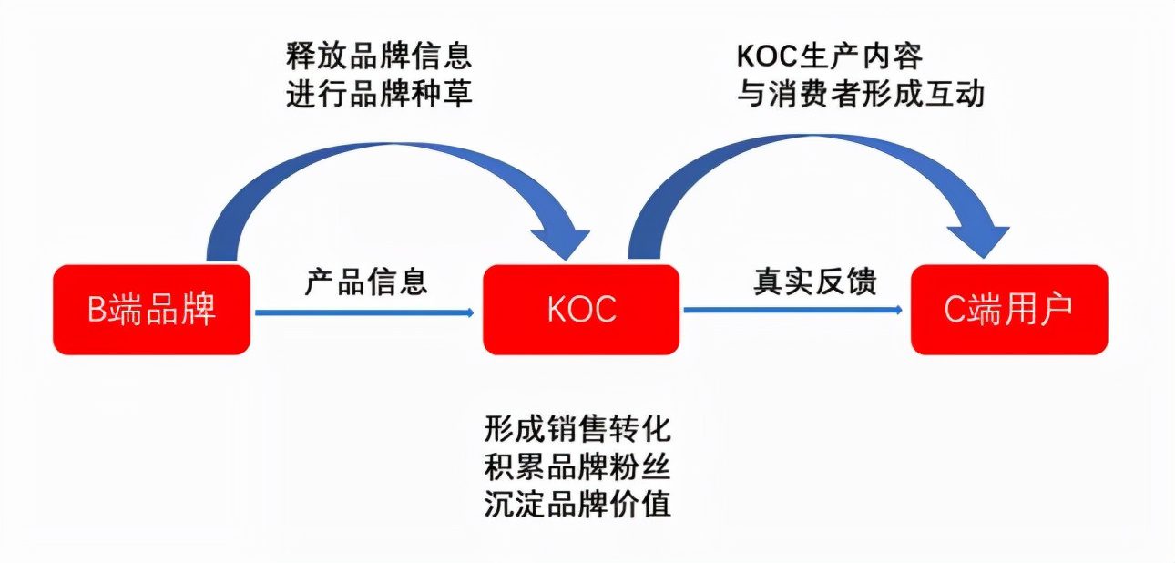 小紅書"媛媛"難從良 未來如何破局？