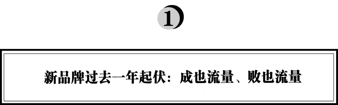 琢石資本合伙人王勇：新品牌為何“成也流量，敗也流量”｜浪潮新消費(fèi)