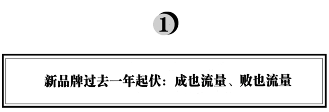 琢石資本合伙人王勇：新品牌為何“成也流量，敗也流量”？