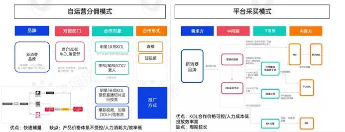 新消費(fèi)品牌KOL營銷的六大成功定律