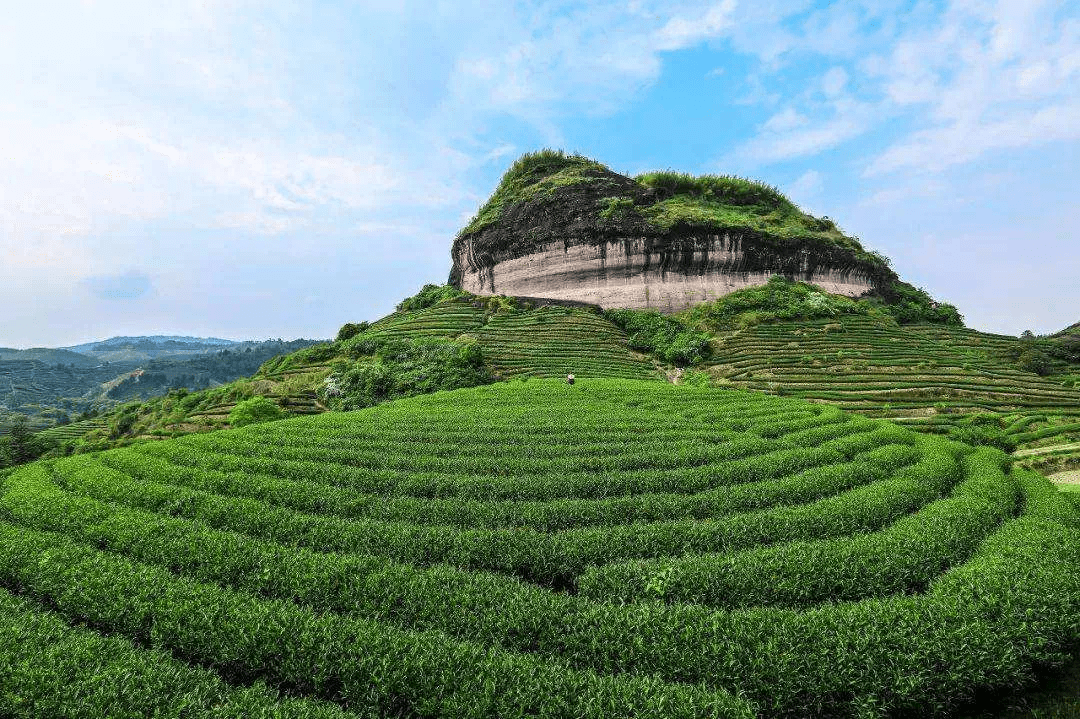 困在光環(huán)里的中國茶：既不想當(dāng)立頓，也沒能再造一個(gè)小罐茶