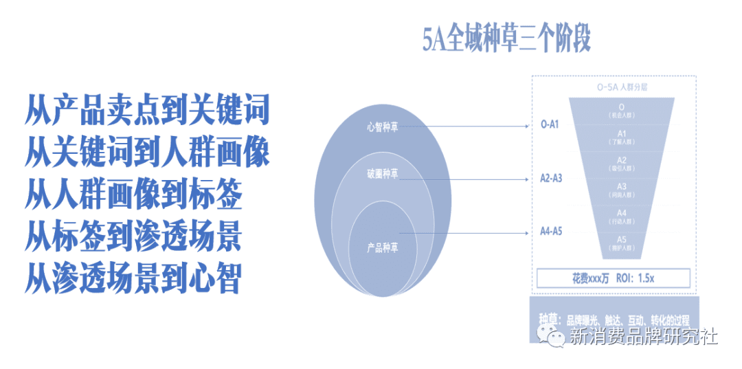 品牌種草三階段：產(chǎn)品種草、破圈種草、心智種草