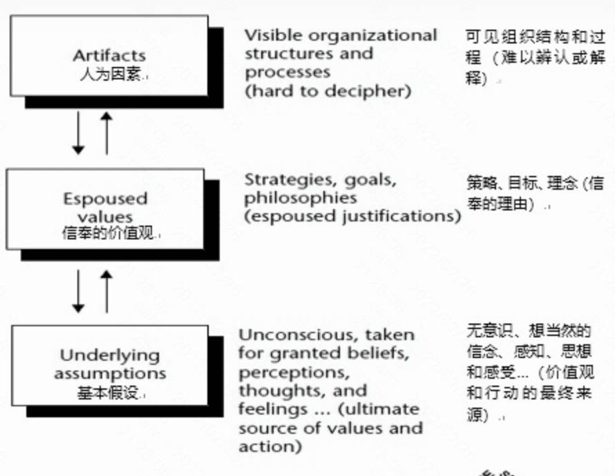 如何理解「企業(yè)文化」？