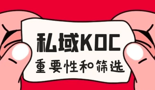 私域中KOC的重要性和篩選策略｜一直前行的彪羊羊