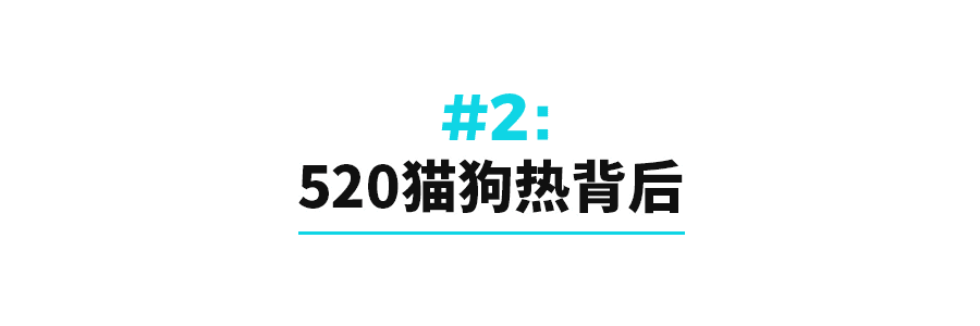 “520”貓狗熱：比起愛(ài)情，更想給寵物花錢(qián)