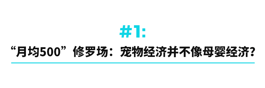 “520”貓狗熱：比起愛(ài)情，更想給寵物花錢(qián)