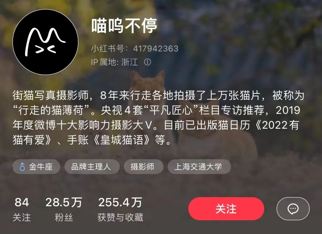 小紅書個人博主如何快速漲粉？拆解1年漲粉88萬的君君輔食記