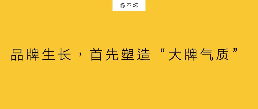 楊不壞：品牌生長(zhǎng)，首先塑造“大牌氣質(zhì)”