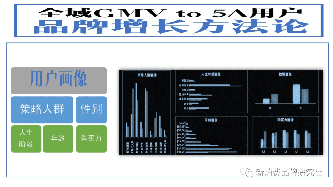 新消費(fèi)品牌：5A增長方法論