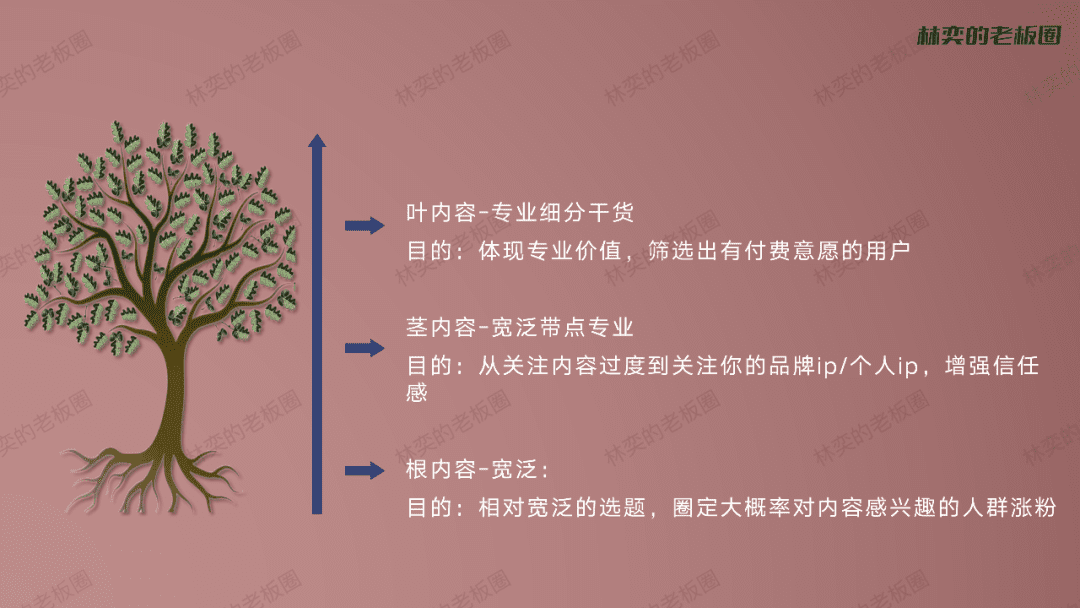 品牌究竟如何做好抖音內(nèi)容，且避免自嗨