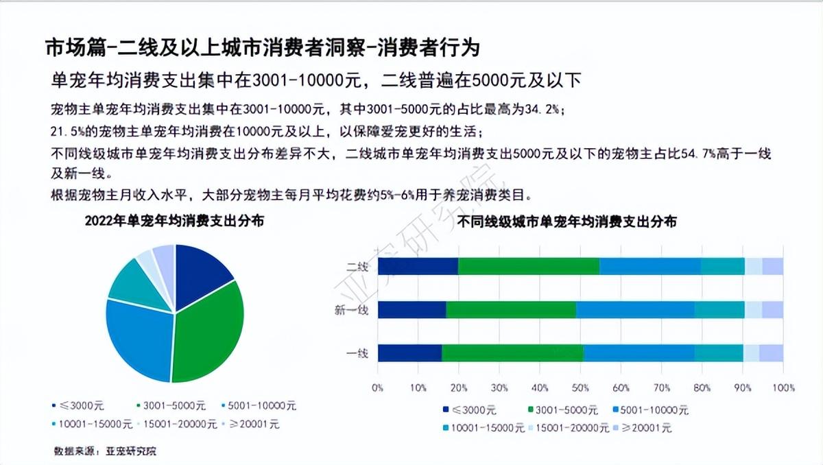 寵物派對(duì)成潮流，催生社交“新風(fēng)口”？