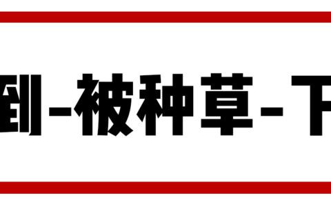 2023年，品牌小紅書種草營(yíng)銷該怎么做？