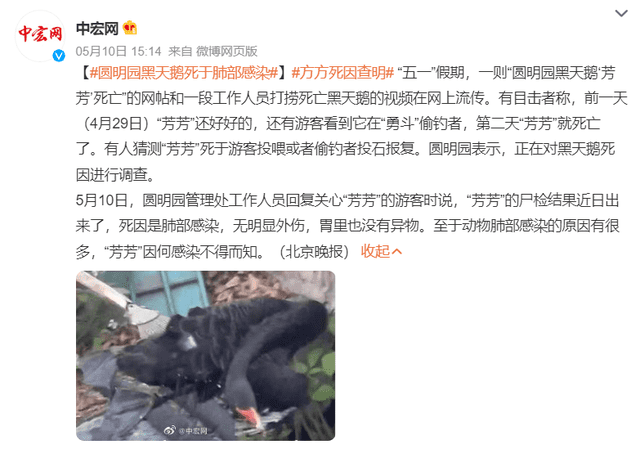 非正常死亡飆升直指原罪，千億動(dòng)物園產(chǎn)業(yè)何日投身自我救贖？