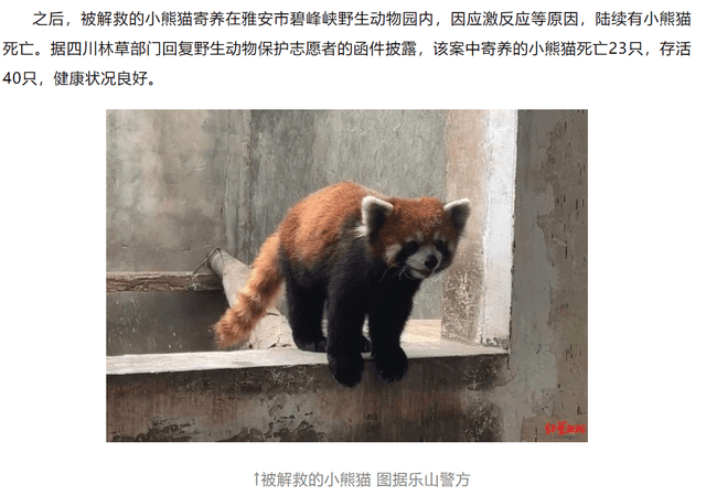 非正常死亡飆升直指原罪，千億動(dòng)物園產(chǎn)業(yè)何日投身自我救贖？