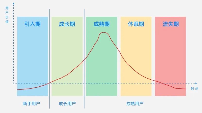 顛覆傳統(tǒng)增長模型：DAU一路狂飆的多鄰國，做對了什么？