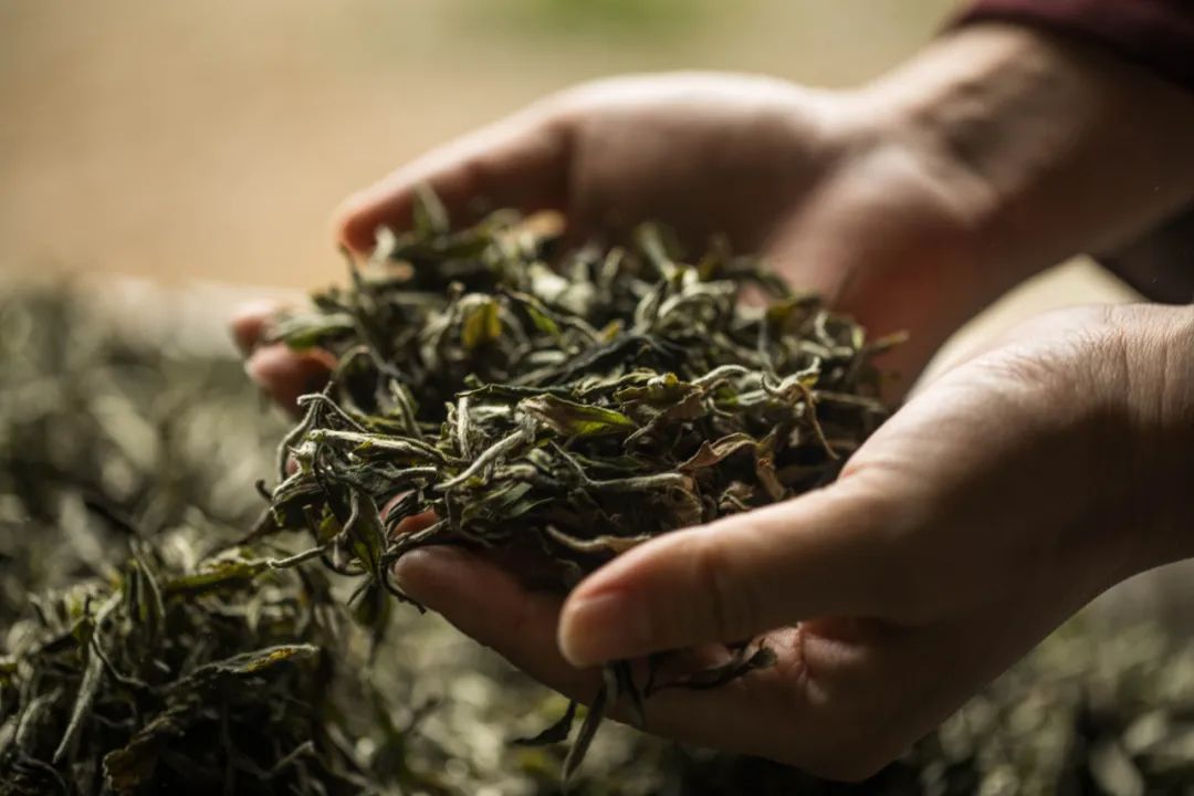 從霸王茶姬進長沙背后，看見三個茶飲新趨勢