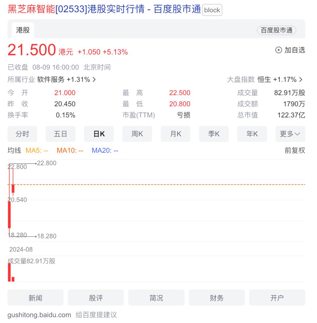 上市首日股價暴跌27%，黑芝麻智能為何不“性感”？