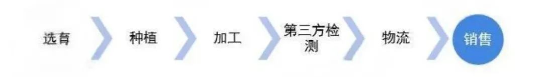 大模型時(shí)代，云南白藥如何成為一家AI醫(yī)藥企業(yè)？｜產(chǎn)業(yè)AI案例