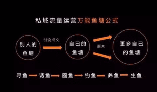 2019，為什么一定要做社交電商私域流量