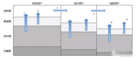 首席增長官：怎么搭建一套完整的運營增長體系